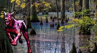 Радужное болото в Вирджинии напугало бы даже собаку Баскервилей.