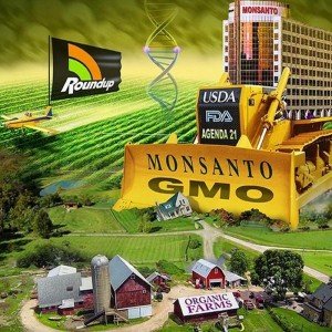 44 причины запретить ГМО или ввести их маркировку